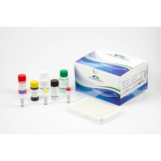 ACTH ELISA 