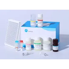 Human IL-3 (Interleukin 3) ELISA Kit