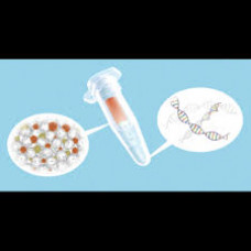 nexttec 1-step DNA Isolation Kit for Plants - cleanColumns