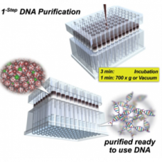 nexttec 1-step DNA Isolation Kit for Plants - cleanPlates96